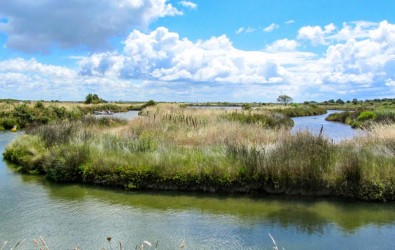 île en France Oleron